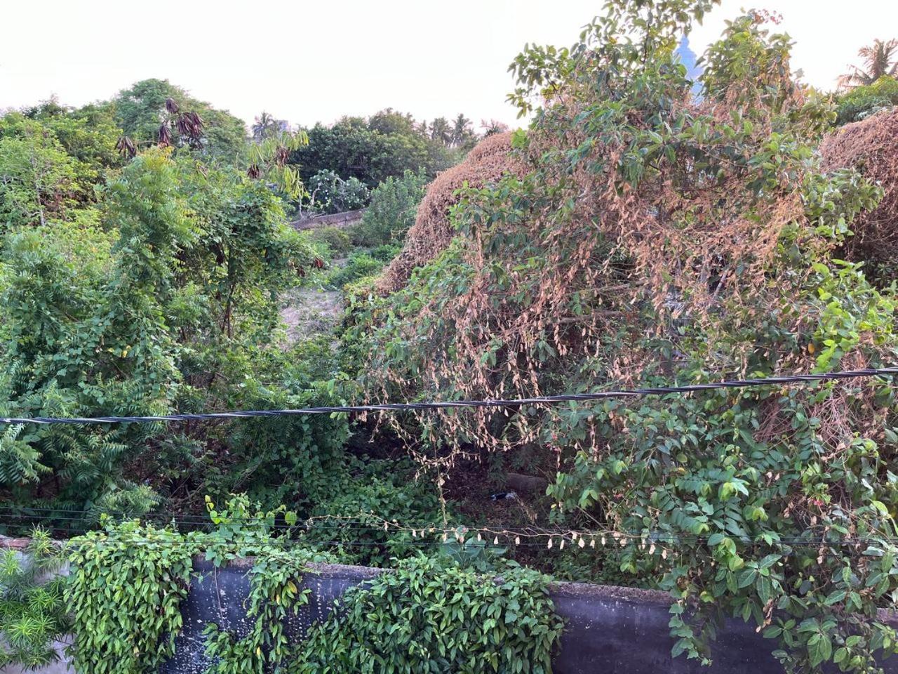 Nirman Homestay 5 Minutes Walk To Beach Puri Exterior foto